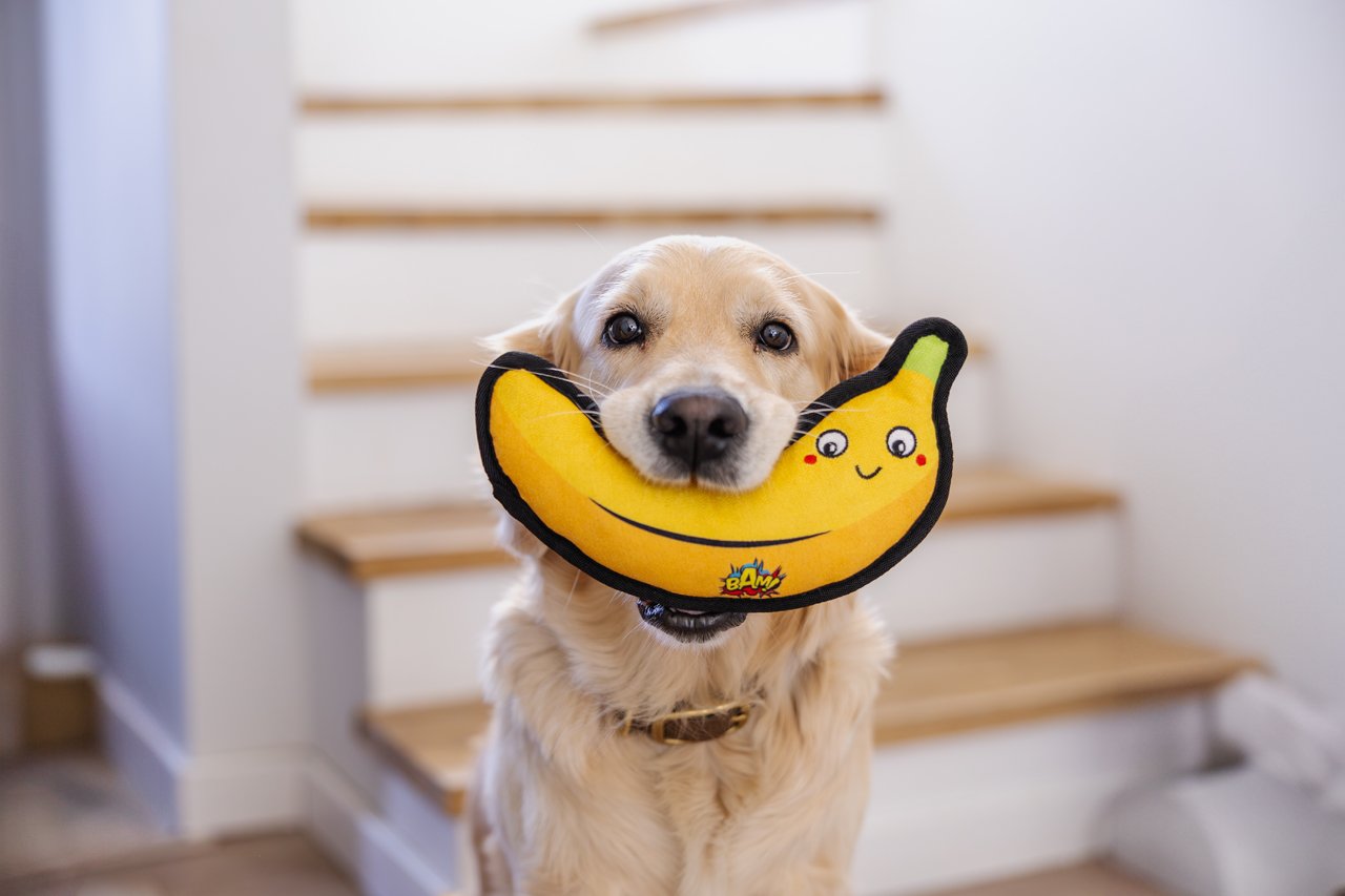 BAM! Bamnip Find It Banana x 1